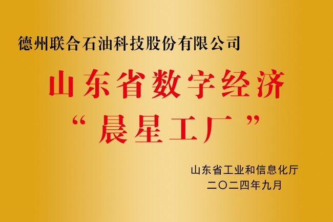 Shandong Provincial Morning Star Factory for Digital Economy