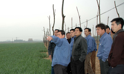 2006